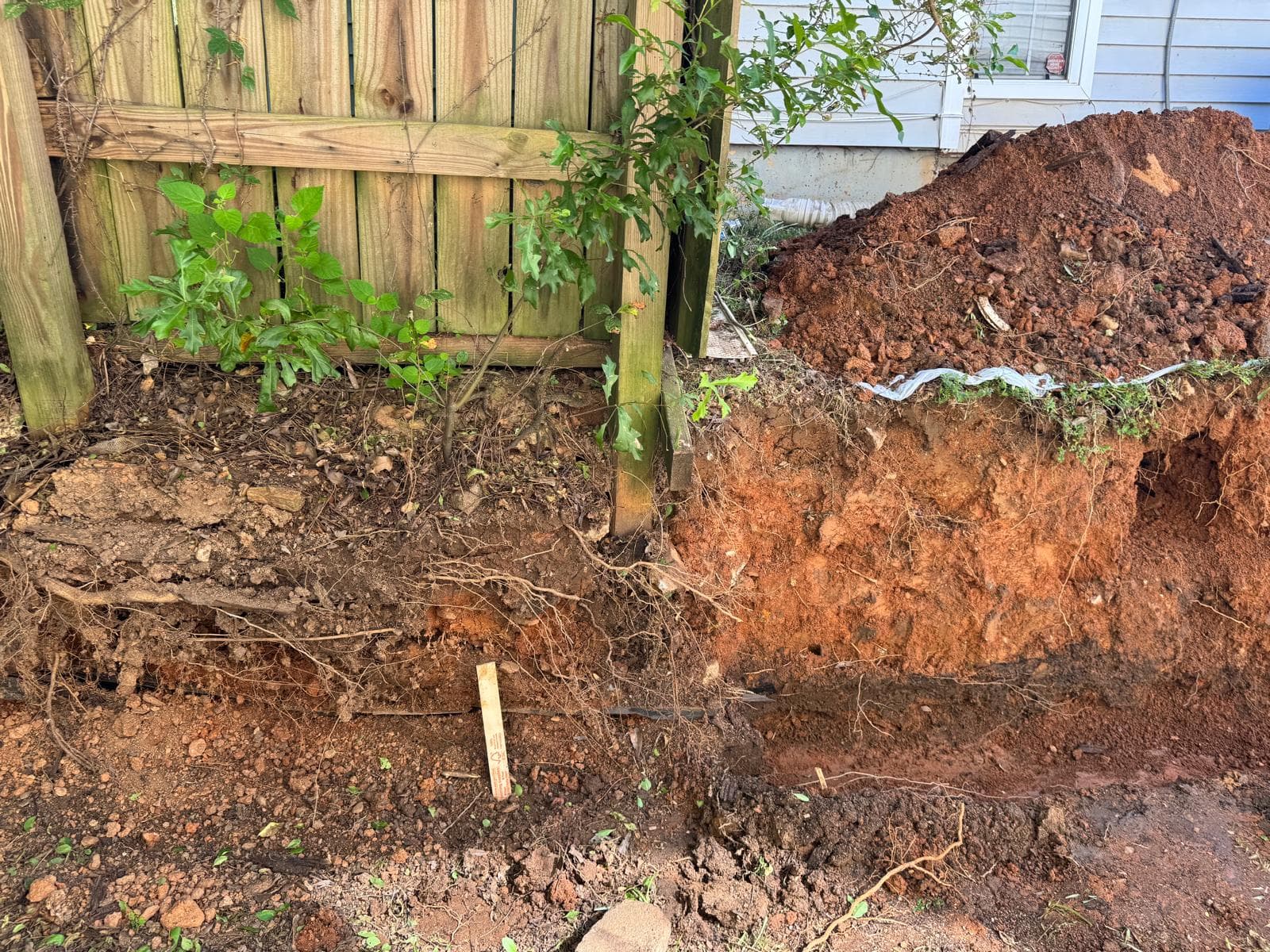 Windows Installation